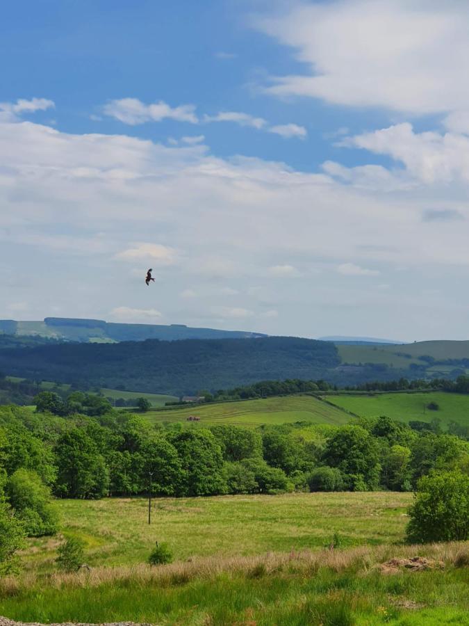 Hotel Calon Y Goedwig Glamping Llandovery Esterno foto