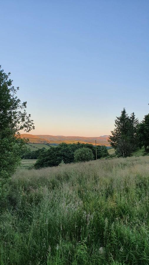 Hotel Calon Y Goedwig Glamping Llandovery Esterno foto