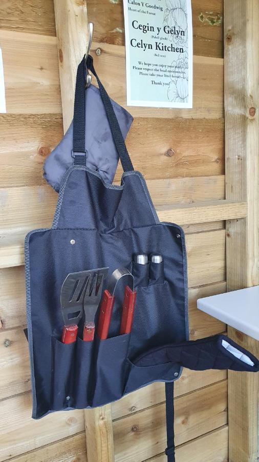 Hotel Calon Y Goedwig Glamping Llandovery Esterno foto