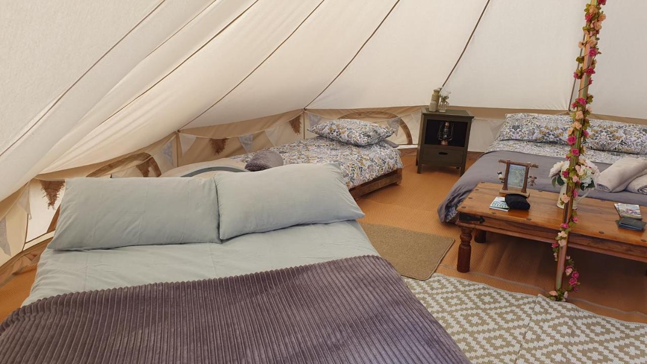 Hotel Calon Y Goedwig Glamping Llandovery Esterno foto