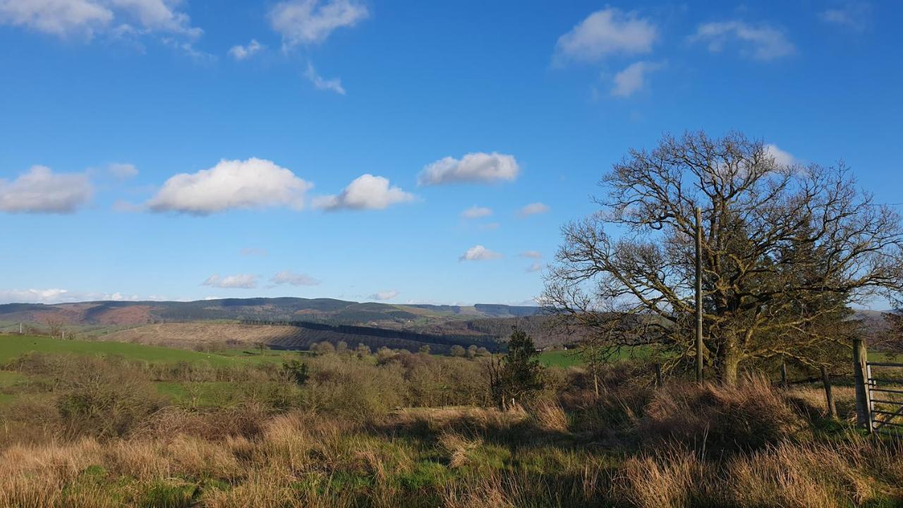 Hotel Calon Y Goedwig Glamping Llandovery Esterno foto