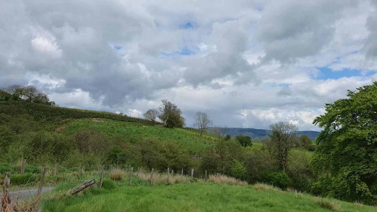 Hotel Calon Y Goedwig Glamping Llandovery Esterno foto