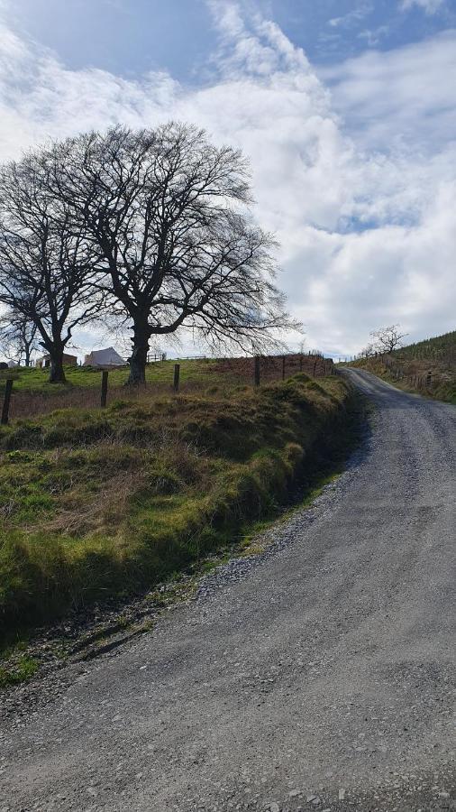 Hotel Calon Y Goedwig Glamping Llandovery Esterno foto