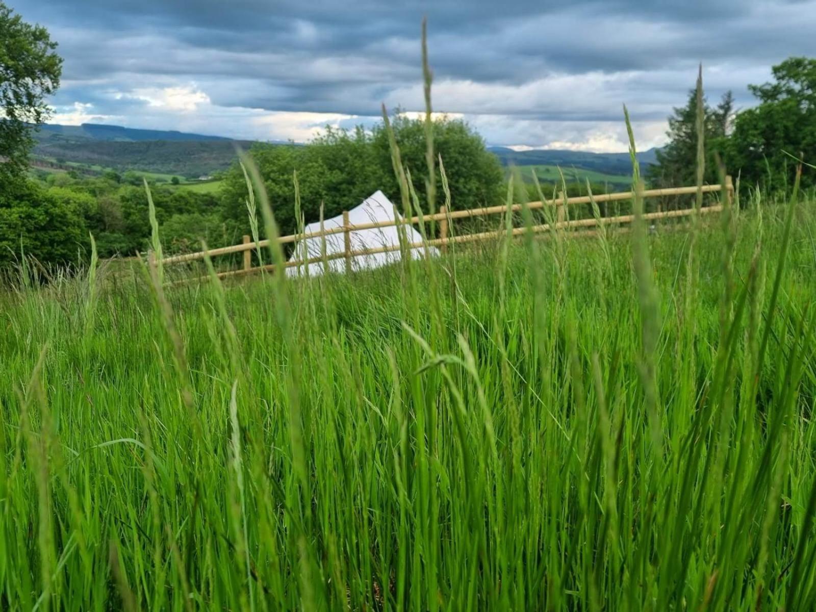 Hotel Calon Y Goedwig Glamping Llandovery Esterno foto